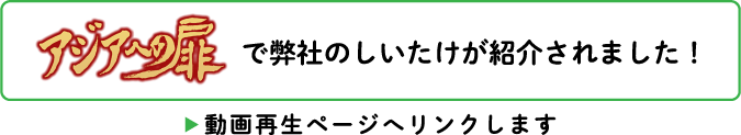 アジアへの扉で弊社の椎茸が紹介されました！