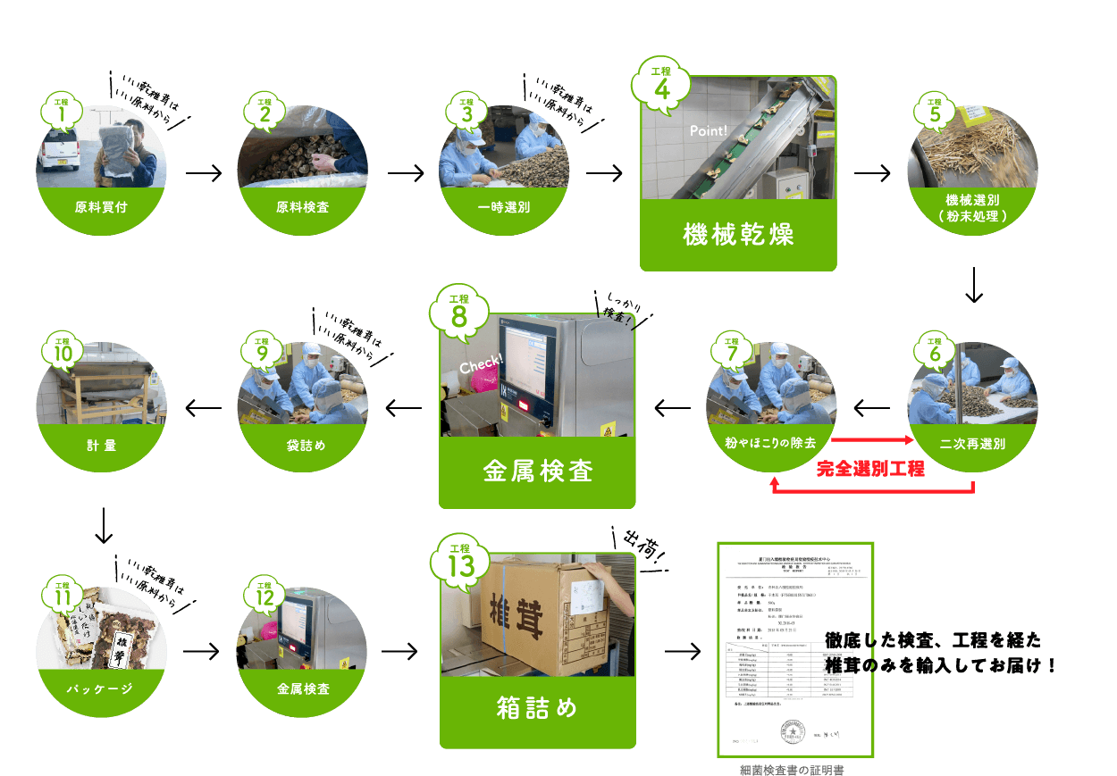 一般選別生産工程図