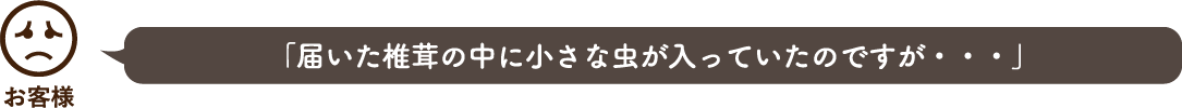 「届いた椎茸の中に小さな虫が入っていたのですが・・・」