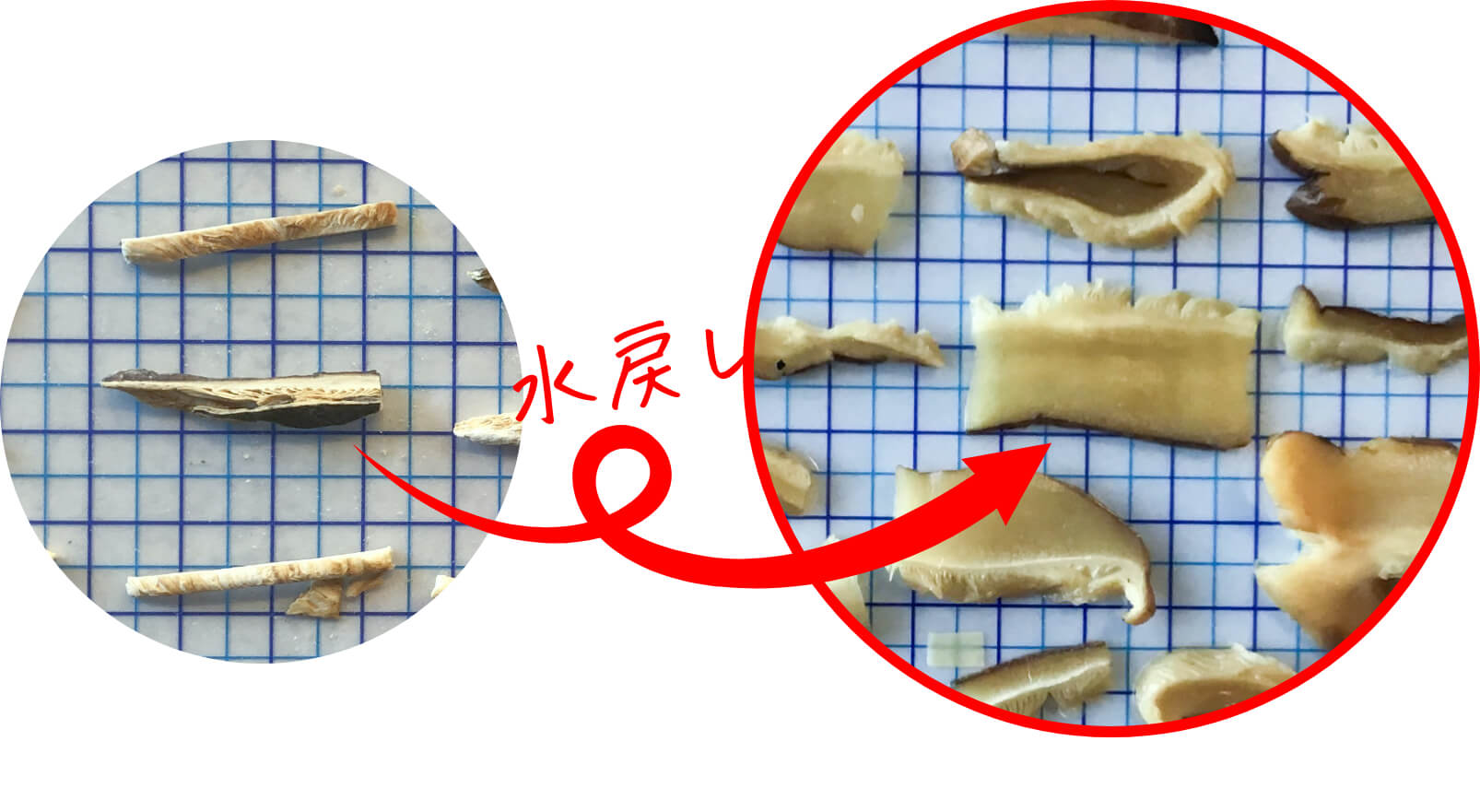 乾椎茸を水戻しする様子