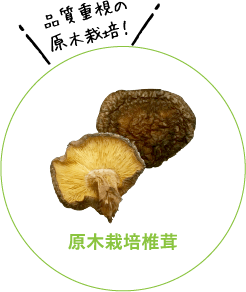 原木栽培椎茸