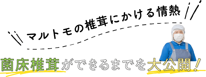 菌床椎茸ができるまでを大公開