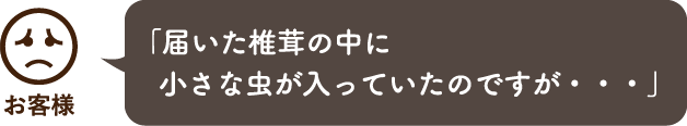 「届いた椎茸の中に小さな虫が入っていたのですが・・・」