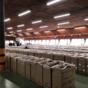 【大分県椎茸農業協同組合（OSK）入札】11月15日に参加しました
